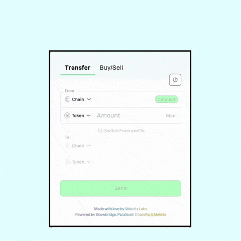 Turtle gallery preview 2